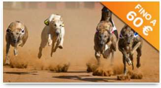Sisal Virtual Race virtual race